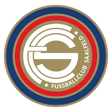 Wappen FC Saalfeld 2014 diverse