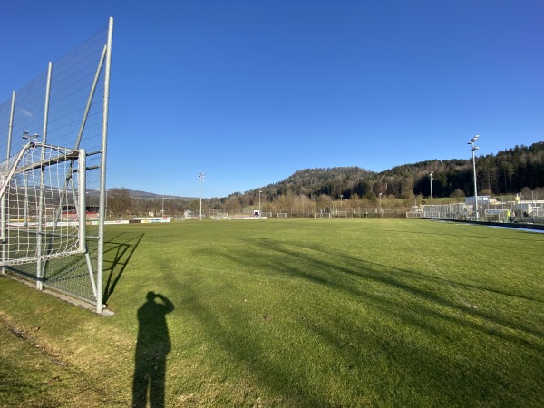 Sportplatz Lättich Platz 2 - Baar