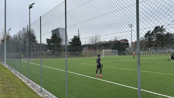 Sportanlagen Herti Allmend Platz 3 - Zug