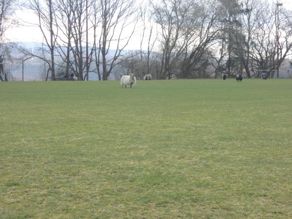 Sportplatz Rennstraße - Weilrod-Hasselbach