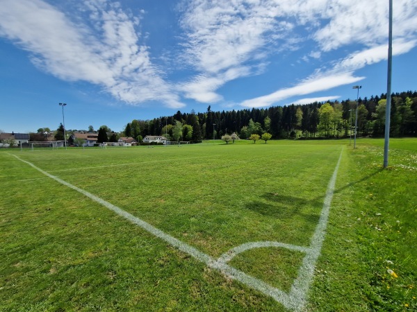 Sportplatz Brühl - Roggwil BE