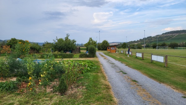 Sportanlage Brückenstraße - Tauberbischofsheim-Impfingen