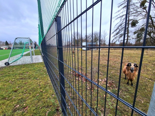 Hartenfelsstadion Nebenplatz 2 - Torgau