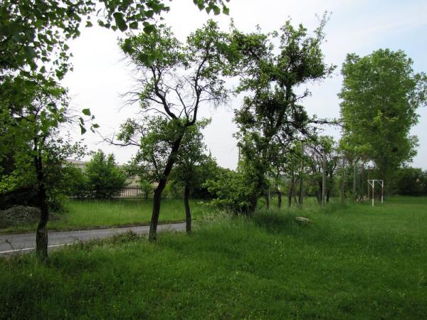 Sportplatz Kastanienallee - Eckartsberga-Burgholzhausen