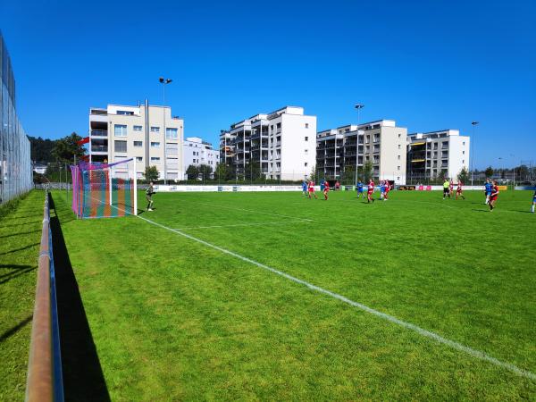 Sportplatz Stapfenwies - Rheineck