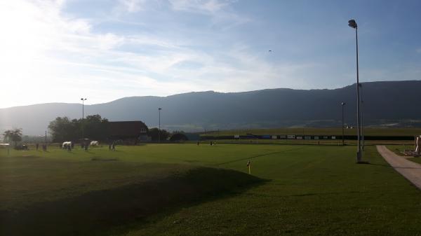 Sportplatz Kreuzacker - Leuzigen