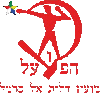 Wappen Hapoel Daliyat El Carmel  11847