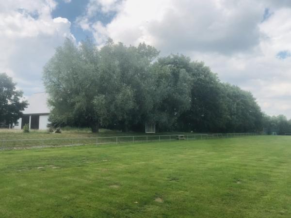Sportplatz Sandebecker Straße - Steinheim/Westfalen-Bergheim