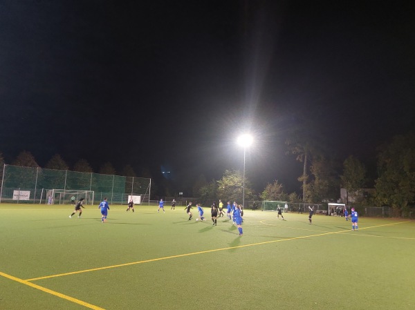 Sportanlage Lechelstraße Platz 2 - München-Hartmannshofen