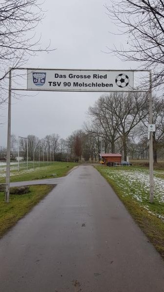 Sportplatz Das Große Ried - Molschleben