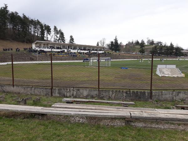 Givi Chokheli Stadion - Telavi