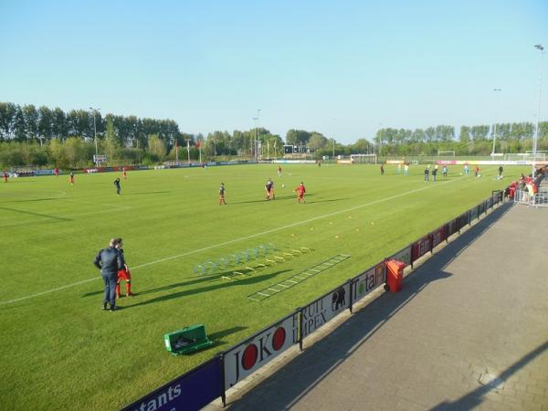 Sportpark Hazelaarweg - VOC - Rotterdam