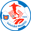 Wappen TJ Valašské Meziříčí  4390