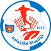 Wappen TJ Valašské Meziříčí