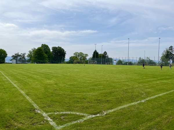 Sportplatz Widenbad Platz 2 - Männedorf