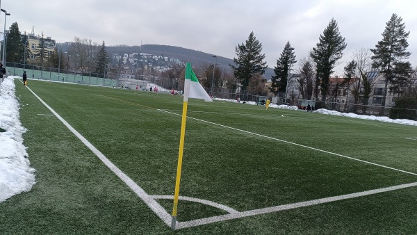Allianz Stadion Trainingsplatz West 2 - Wien