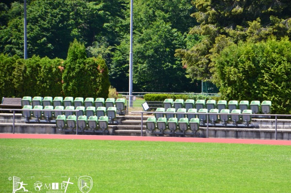 Kopp-Tours-Arena - Mörfelden-Walldorf