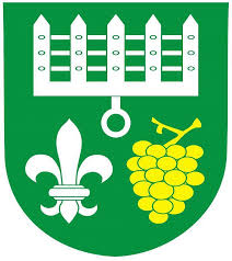 Wappen TJ Diváky