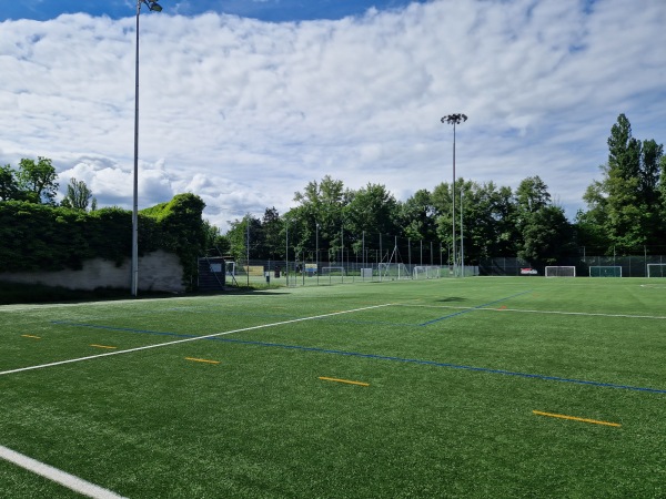Stade de la Fontenette terrain B - Carouge GE