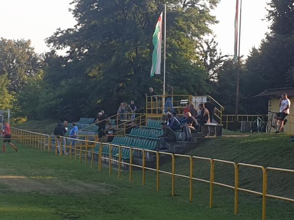 Stadion w Rogoźniku - Rogoźnik