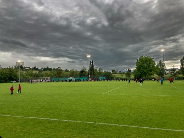 Ifm-Riedstadion Nebenplatz - Tettnang