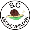 Wappen SC Eschenfelden 1959 diverse
