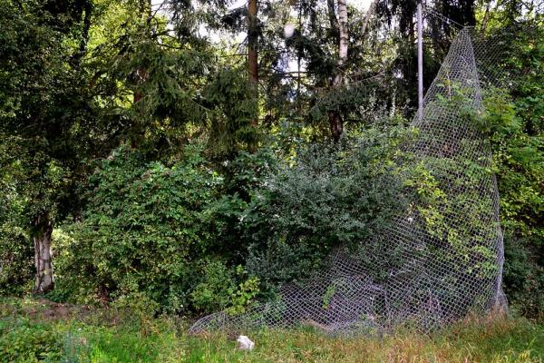 Sportplatz Am Brändchen - Stolberg/Rheinland-Zweifall