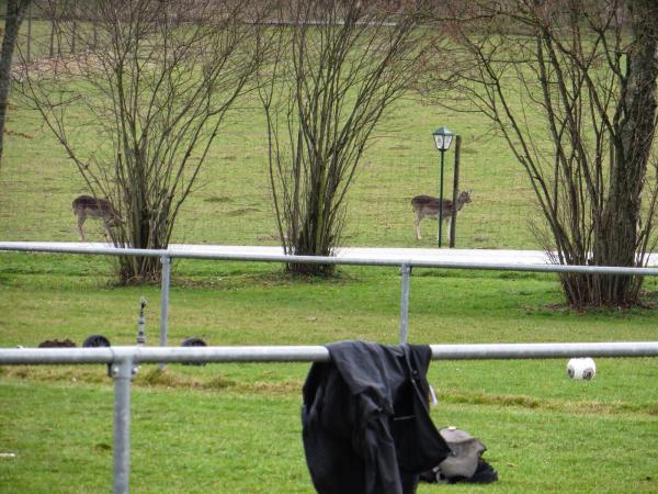 Sportgelände Weiherwasen - Schramberg-Waldmössingen