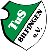 Wappen TuS Bilfingen 1910 diverse