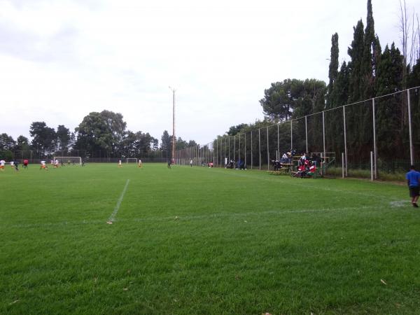 Marks Park Field E - Johannesburg, GP