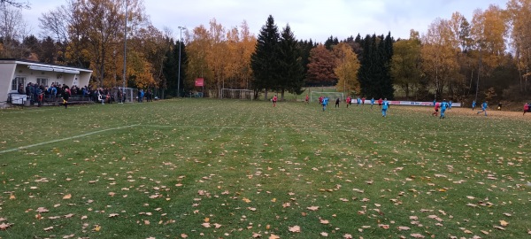 Sportplatz an der Beerheiderstraße - Auerbach/Vogtland-Rempesgrün