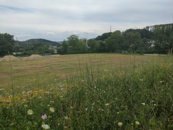 Sportplatz Lichte Kammer - Iserlohn-Iserlohner Heide