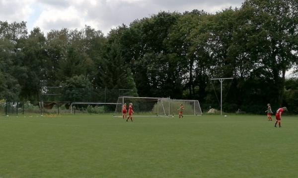 Hänsch-Arena M-Platz - Meppen