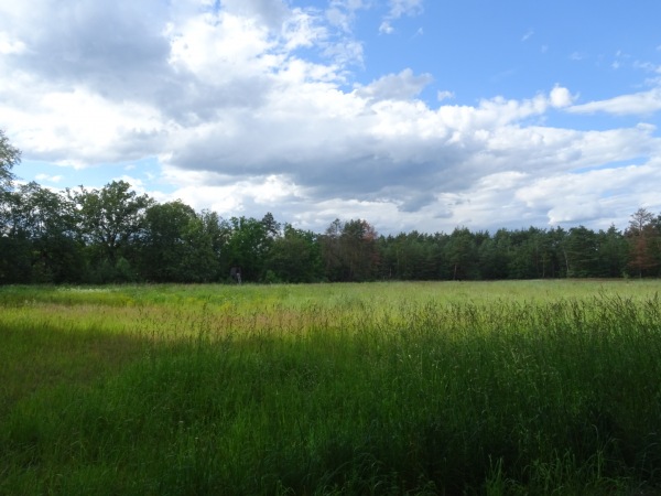 Turnplatz Hosena - Hosena