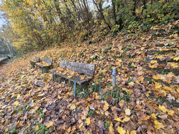 Sportplatz im Walpurgistal - Essen/Ruhr-Rüttenscheid