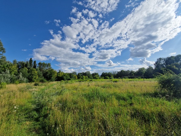 Stadion im. Edmunda Szyca - Poznań