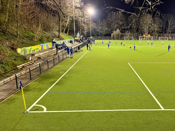 Sportplatz Rheindorfer Kessel - Bonn-Rheindorf