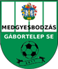 Wappen Medgyesbodzás SE  109498