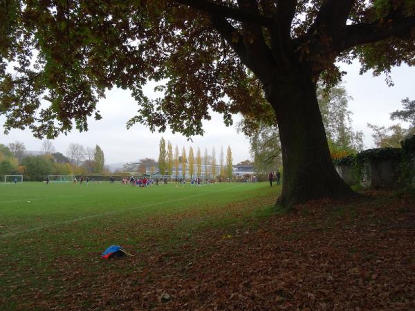 Sportanlage Rheinaue - Bonn-Plittersdorf