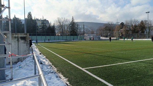 Allianz Stadion Trainingsplatz West 2 - Wien