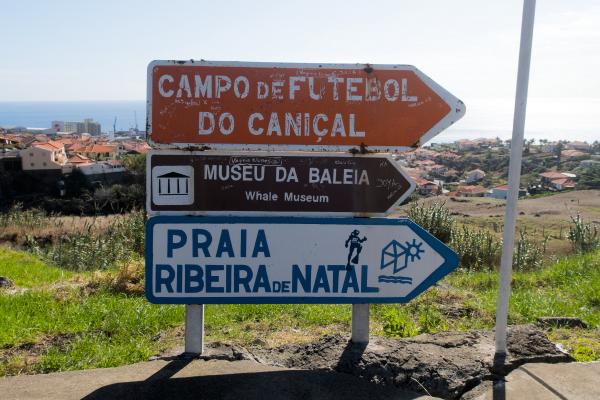Campo de Futebol do Caniçal  - Caniçal, Madeira