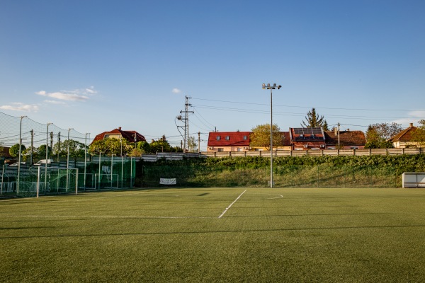 Szamosi Mihály Sporttelep Műfüves pálya - Budapest