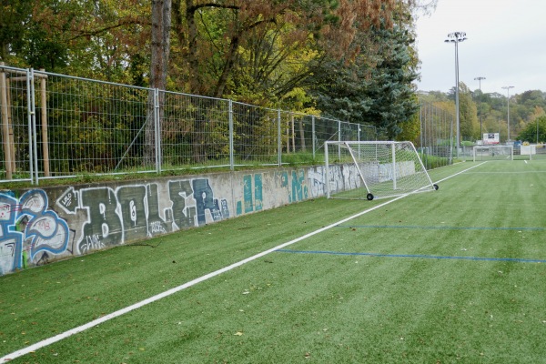 Stade de la Fontenette terrain C - Carouge GE