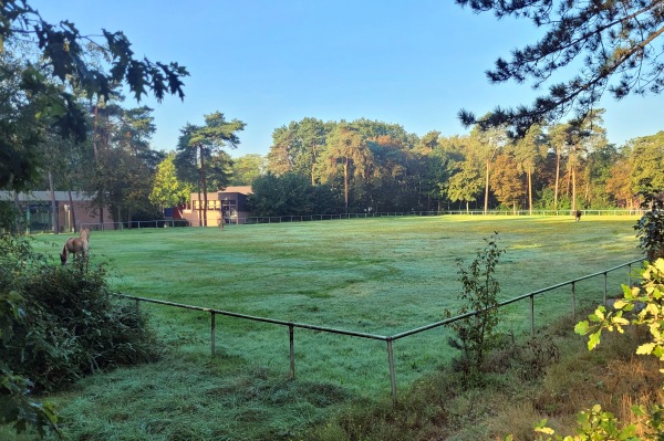 LWL-Sportplatz Haardklinik - Marl-Sinsen
