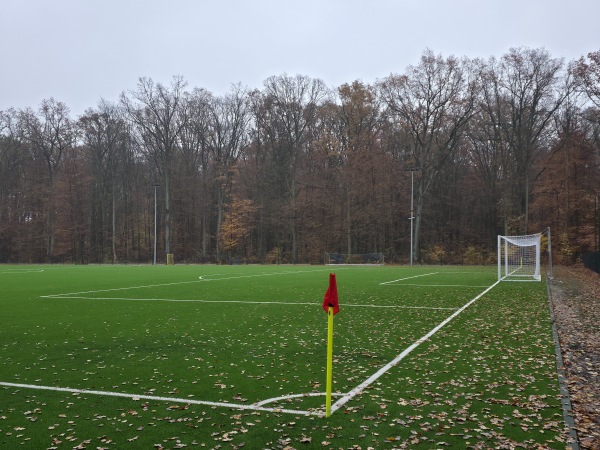 Stadion im. Henryka Witkowskiego w Dębnie boisko obok - Dębno