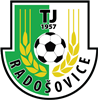 Wappen TJ Radošovice