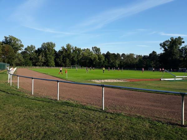 Stadion im Sportkomplex Seilerwiesen  - Magdeburg-Werder