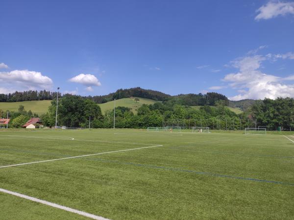 Sportplatz Oberried 2 - Oberried