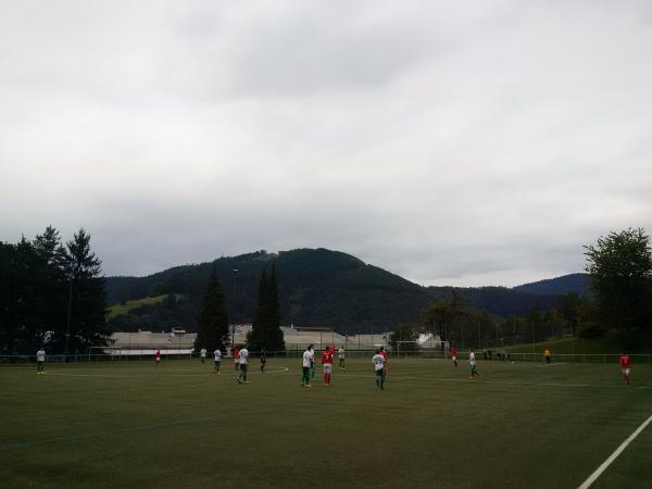 Waldstadion Nebenplatz - Hausach
