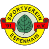 Wappen SV Espenhain 1991 diverse